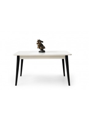 MASA 3101+9203 ASOS YEMEK MASASI AYTAŞI